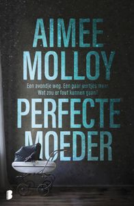 Perfecte moeder door Aimee Molloy