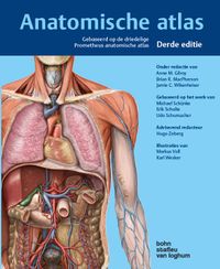 Anatomische Atlas
