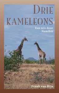 Drie kameleons door Frank van Rijn