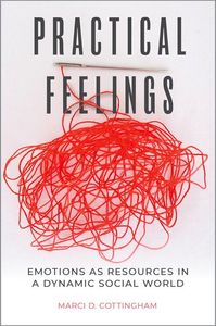 Practical Feelings