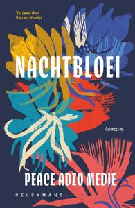 Nachtbloei