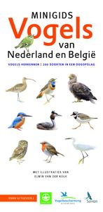 Minigids: Vogels van Nederland en België