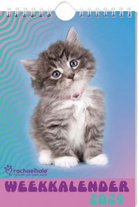 Rachael Hale Katten weekkalender