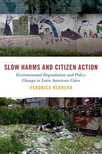 Slow Harms and Citizen Action