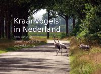 Kraanvogels in Nederland door Herman Feenstra