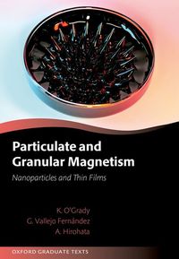 Particulate and Granular Magnetism