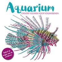 Creative colors: Aquarium