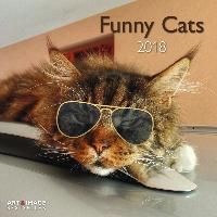 Funny Cats 2018 Broschürenkalender