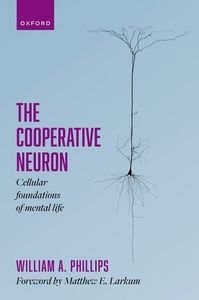 The Cooperative Neuron