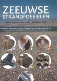 Zeeuwse strandfossielen