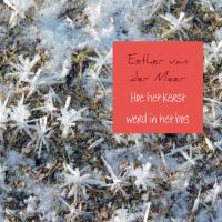 Hoe het kerst werd in het bos door Esther van der Meer - van der Meer