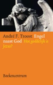 Engel naast God door André F. Troost
