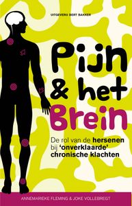 Pijn & het brein door Joke Vollebregt & Annemarieke Fleming