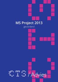 MS Project 2010-2013 Gevorderd