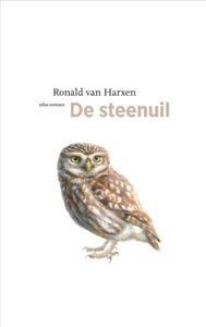 De steenuil door Ronald van Harxen