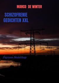 Schizofrenie gedichten XXL door Marco de Winter