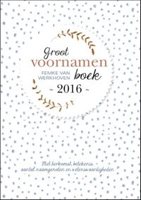 Groot voornamenboek 2016 door Femke van Werkhoven
