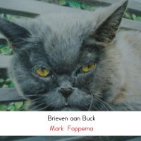 Brieven aan Buck door Mark Foppema
