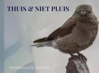 THUIS & NIET PLUIS thuisfrontgedichten door Pieternelletje Werners