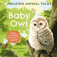 Amazing Animal Tales: Baby Owl