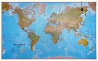 Maps International The World Environmental - Large Geplastificeerd