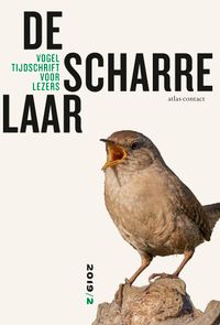 Vogeltijdschrift voor lezers: De scharrelaar - 2019/2