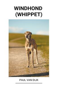 Windhond (Whippet)