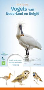 Minigids: Vogels van Nederland en België - vogelgids, natuurgids