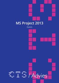 MS Project 2010-2013 Basis