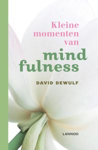 Kleine momenten van mindfulness door David Dewulf