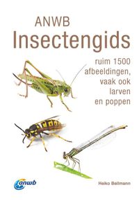 ANWB Insectengids