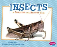 Insects: a Question and Answer Book (Animal Kingdom Questions and Answers)