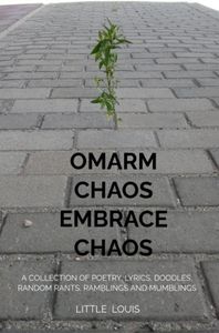 Omarm Chaos - Embrace Chaos door Little Louis