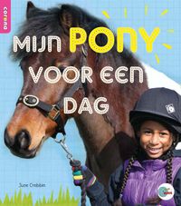 In de ROOS: Mijn pony voor een dag