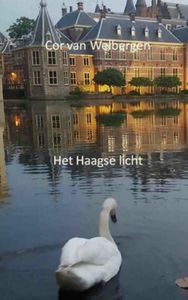 Het Haagse licht door Cor Van Welbergen